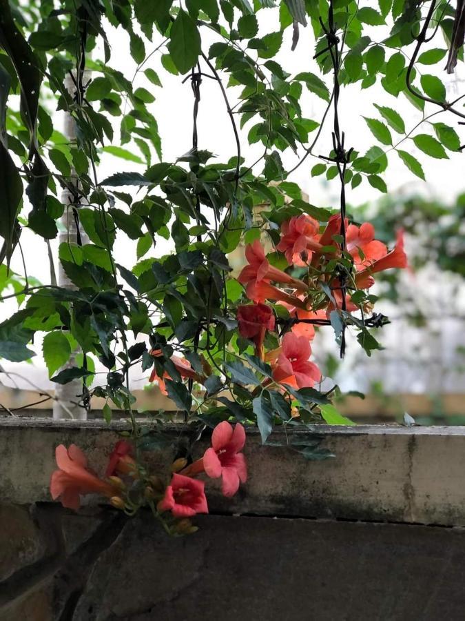 Hidden Hue Homestay Eksteriør bilde